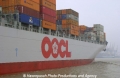 OOCL Germany -OOCL Logo-2.jpg
