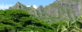 Hawaii-800_2411.jpg