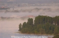 Nebelst Elbe 16503-2.jpg