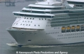 Jewel of the Seas Bug 24404.jpg