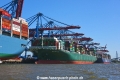 Burchardkai-Hamburg 060718-08.jpg