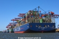 Burchardkai-Hamburg 060718-03.jpg