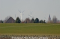 Windpark Dithmarschen 24303.jpg