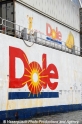 Dole-Logo 9907-1.jpg