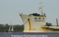 Zhen Hua 5 Bug-Anke-Seglerr.jpg