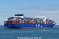 APL Lion City (MB-020719-4).jpg