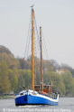 Mule 160411-01.jpg