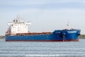 Alpha Pride SH-010625-01.jpg