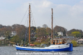 Mule 160411-04.jpg
