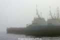Bonnette Tide 180819.jpg