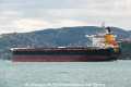 Amphitrite (OK-031013-3).jpg