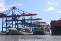 Burchardkai-Hamburg 08718-02.jpg