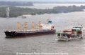 Bulker+Feeder 25405.jpg