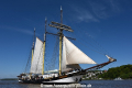 Swaensborgh 110519-06.jpg