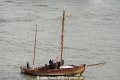 Stine 080515.jpg