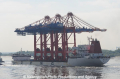 Zhen Hua 14 250509-13.jpg