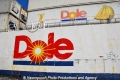 Dole-Logo 9907-3.jpg