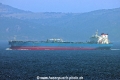 Advantage Love TL-080626-1.jpg
