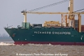 Rickmers Singapore Bug AW-090308.jpg