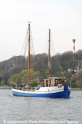 Mule 160411-06.jpg