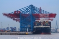 Burchardkai-Hamburg TL-250714-5.jpg
