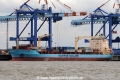Alexander Maersk OS-070908-04.jpg