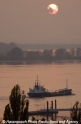 Sonnenuntergang Elbe 291003.jpg