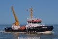 Vogelsand HK-180418.jpg