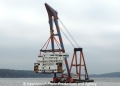 Samson (LW-010613).jpg