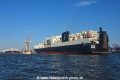 Atlantic Sail + Atlantic Sea 170619-02.jpg