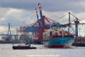 Eurogate-HH-Maersk JP-031019.jpg