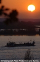 Sonnenuntergang Elbe 311051.jpg