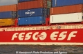 FESCO-ESF-Logo 260909.jpg
