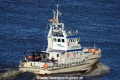 Narwal 100615.jpg