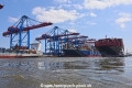 Burchardkai-Hamburg 08718-03.jpg
