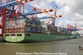 Eurogate-HH+2CSCL JS-040808.jpg