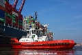 SD Dolphin 250916-02.jpg