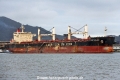 Egret Bulker RV-090814-01.jpg