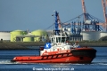 SD Shark (JS-080914-02).jpg