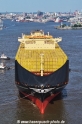 MSC Germany 140625-11.jpg