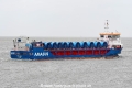 Eems Bison JG-210525-2.jpg