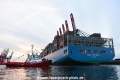 SD Dolphin 150517-02.jpg