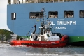 SD Dolphin 150517-01.jpg