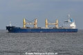 Cerulean Phoenix JG-040420-02.jpg