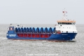 Eems Bison JG-210525-1.jpg