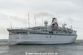 Black Prince (MB-290909-8).jpg