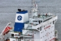 Shandong-Schornsteinlogo 9424.jpg