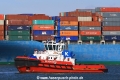 SD Seahorse (JS-220412-01).jpg