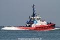 SD Shark (MM-240510-1).jpg