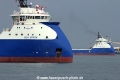 Sea Spark + Sea Springer (MS-280414-18).jpg